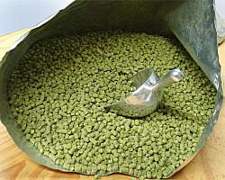 Malte moído para cerveja Malte moído para cerveja
