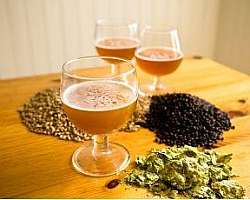 Malte moído para cerveja Malte moído para cerveja