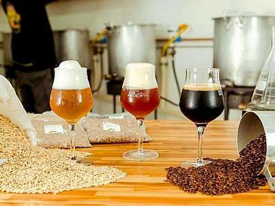 Malte moído para cerveja Malte moído para cerveja