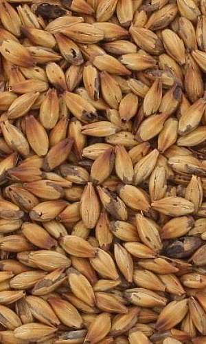 Insumos cervejeiros sp Insumos cervejeiros sp