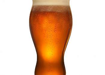 Lúpulo cerveja artesanal Lúpulo cerveja artesanal