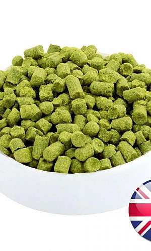 loja de insumos para cerveja sp loja de insumos para cerveja sp