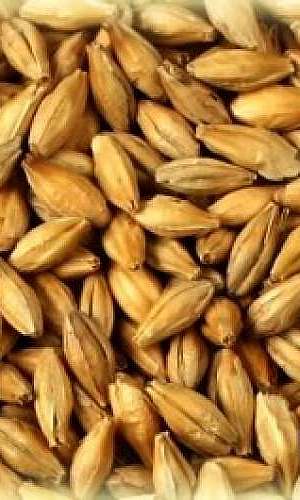 Produtos para fazer cerveja artesanal Produtos para fazer cerveja artesanal