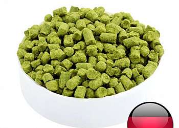 Onde comprar lúpulo para cerveja Onde comprar lúpulo para cerveja